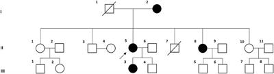 TRPM7 as a Candidate Gene for Vestibular Migraine